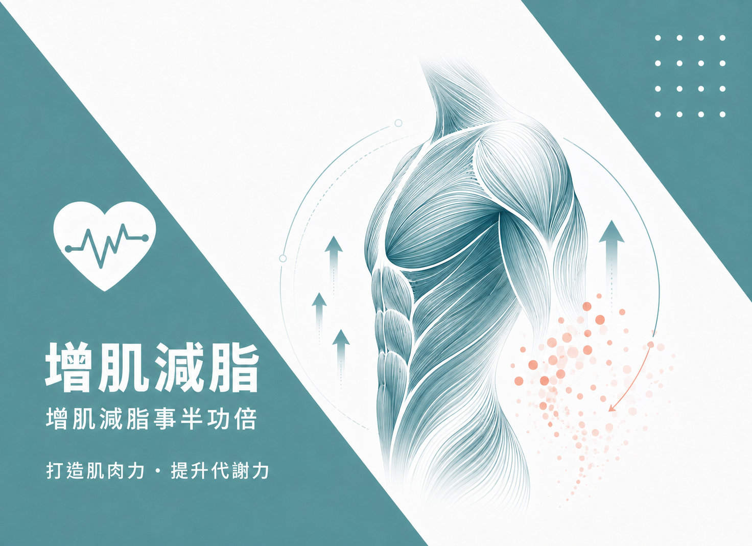 增肌減脂事半功倍